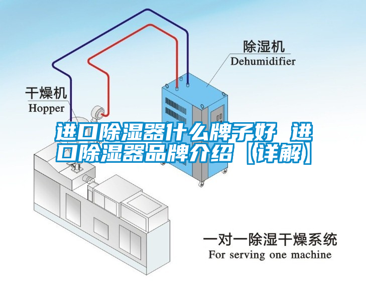 国产精品欧美激情视频 进口除湿器什么牌子好 进口除湿器品牌介绍【详解】