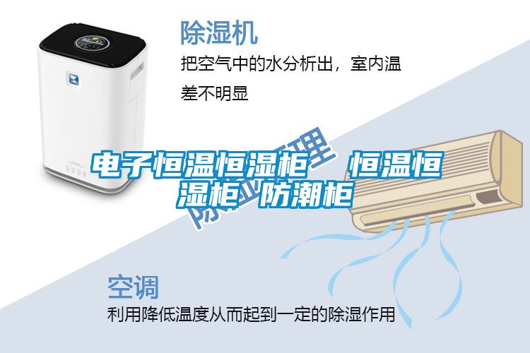 国产精品三级在线观看 电子恒温恒湿柜  恒温恒湿柜 防潮柜