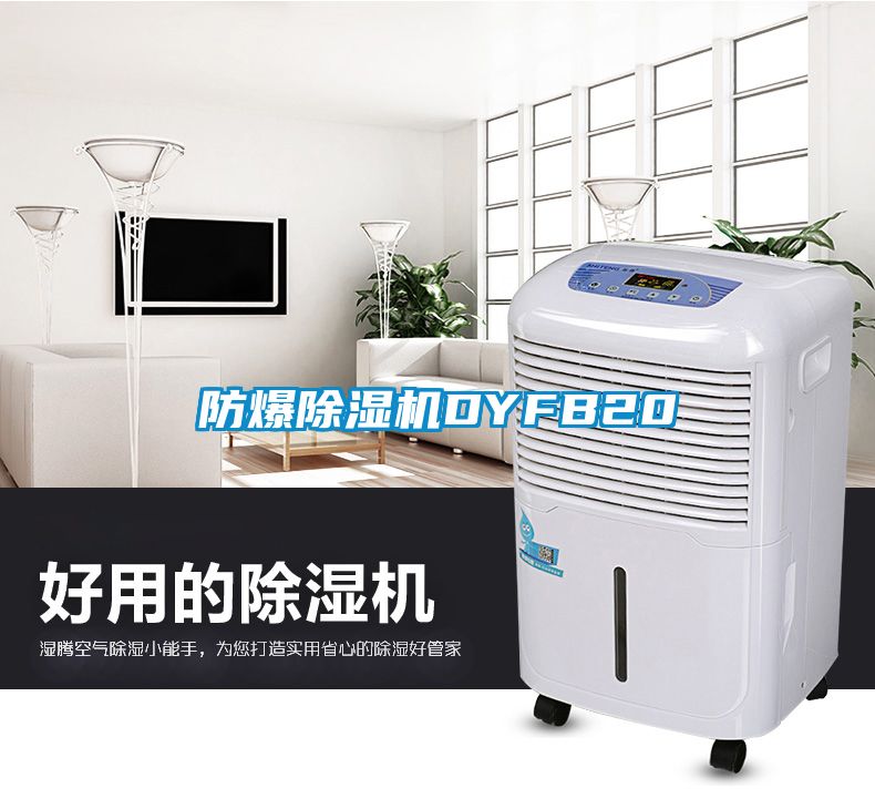 国产精品探花在线观看 防爆除湿机DYFB20
