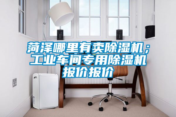 国产精品欧美激情视频 菏泽哪里有卖除湿机；工业车间专用除湿机报价报价