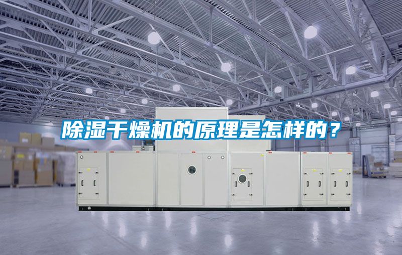 国产精品探花在线观看 除湿干燥机的原理是怎样的？