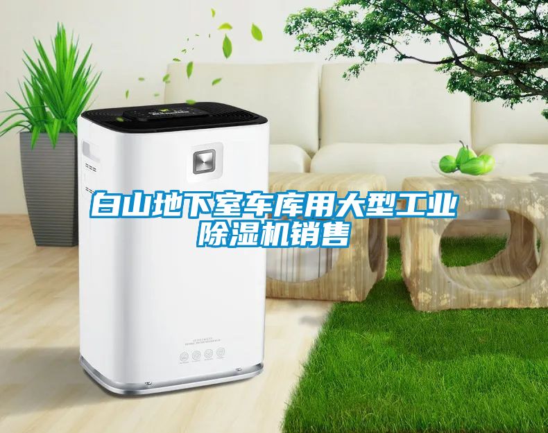 国产精品欧美激情视频 白山地下室车库用大型工业除湿机销售