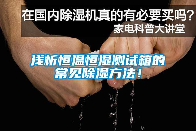 国产精品三级在线观看 浅析恒温恒湿测试箱的常见除湿方法！