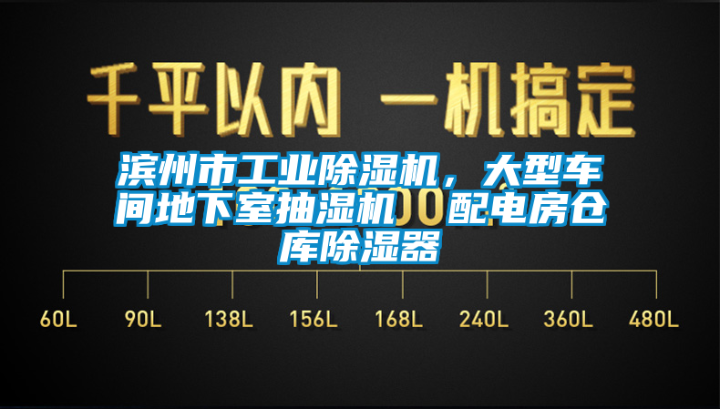 国产精品欧美激情视频 滨州市工业除湿机，大型车间地下室抽湿机  配电房仓库除湿器