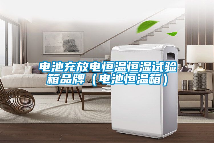 国产精品探花在线观看 电池充放电恒温恒湿试验箱品牌（电池恒温箱）