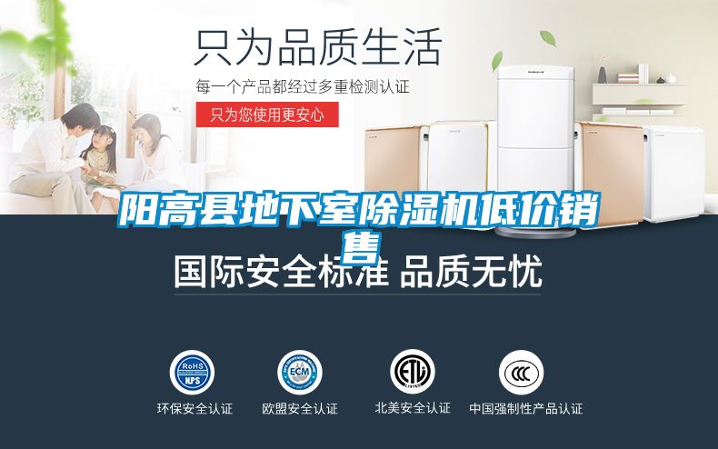 国产精品三级在线观看 阳高县地下室除湿机低价销售