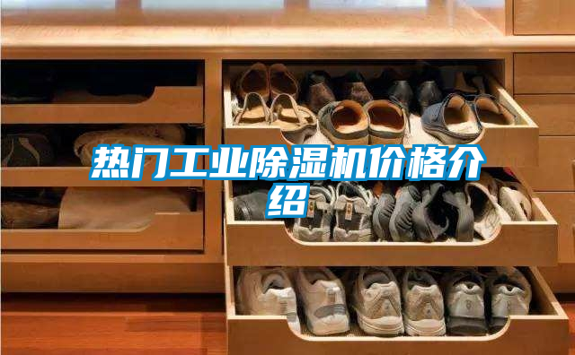 国产精品探花在线观看 热门工业除湿机价格介绍