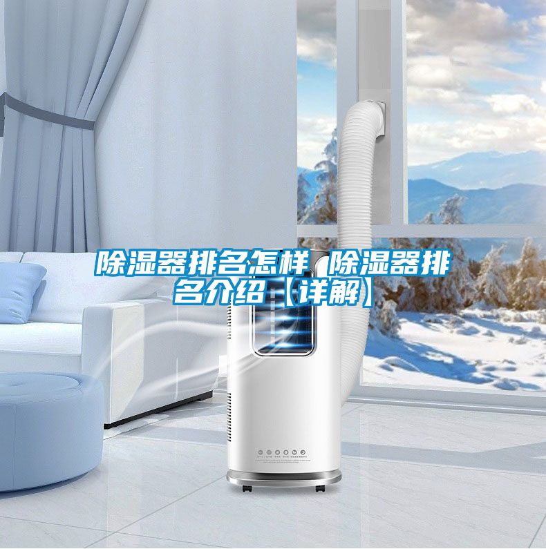 国产精品欧美激情视频 除湿器排名怎样 除湿器排名介绍【详解】