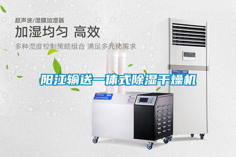 国产精品欧美激情视频 阳江输送一体式除湿干燥机