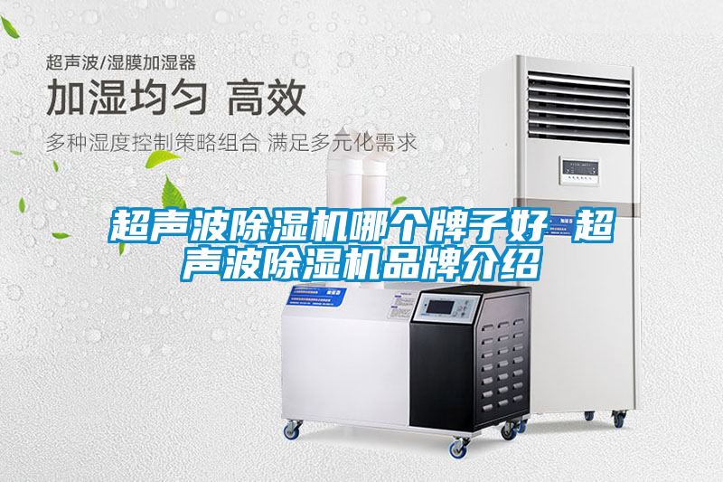 国产精品三级在线观看 超声波除湿机哪个牌子好 超声波除湿机品牌介绍