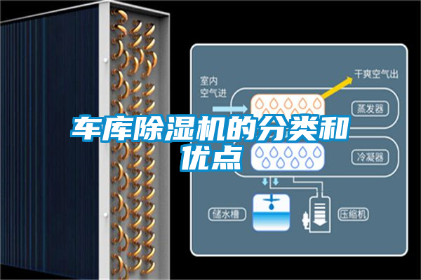 国产精品三级在线观看 车库除湿机的分类和优点