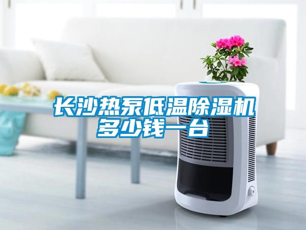 国产精品三级在线观看 长沙热泵低温除湿机多少钱一台