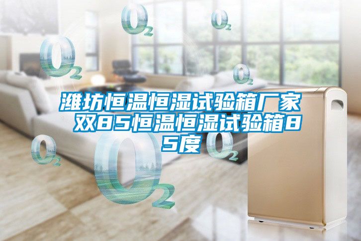国产精品欧美激情视频 潍坊恒温恒湿试验箱厂家 双85恒温恒湿试验箱85度