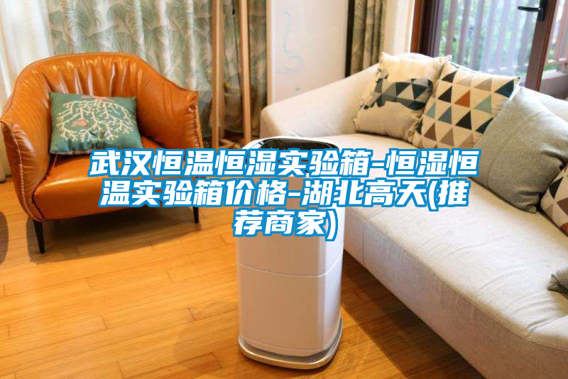 国产精品欧美激情视频 武汉恒温恒湿实验箱-恒湿恒温实验箱价格-湖北高天(推荐商家)