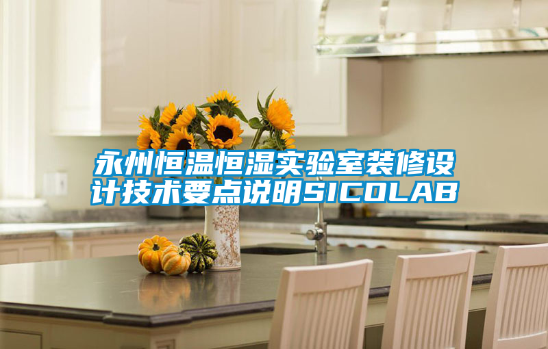 国产精品三级在线观看 永州恒温恒湿实验室装修设计技术要点说明SICOLAB