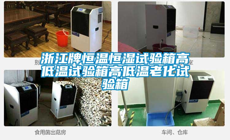 国产精品欧美激情视频 浙江牌恒温恒湿试验箱高低温试验箱高低温老化试验箱