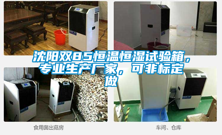 国产精品三级在线观看 沈阳双85恒温恒湿试验箱，专业生产厂家，可非标定做