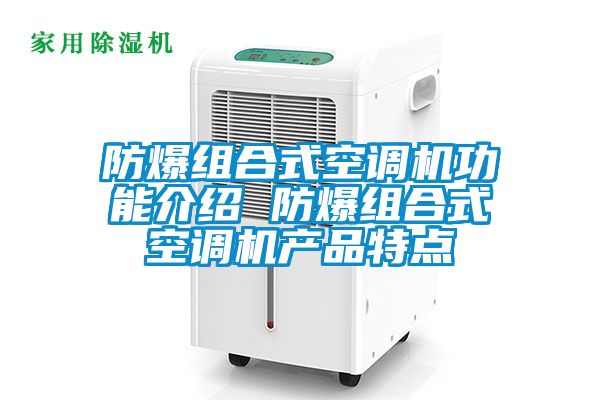 国产精品欧美激情视频 防爆组合式空调机功能介绍 防爆组合式空调机产品特点