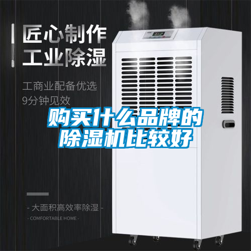 国产精品欧美激情视频 购买什么品牌的除湿机比较好