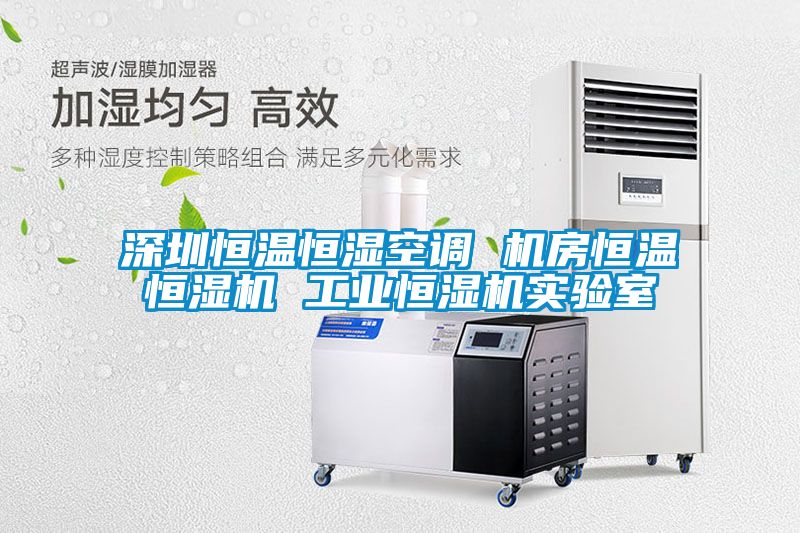 国产精品三级在线观看 深圳恒温恒湿空调 机房恒温恒湿机 工业恒湿机实验室