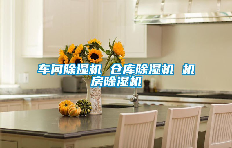 国产精品探花在线观看 车间除湿机 仓库除湿机 机房除湿机