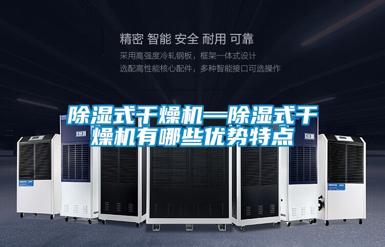 国产精品三级在线观看 除湿式干燥机—除湿式干燥机有哪些优势特点