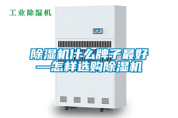 国产精品欧美激情视频 除湿机什么牌子最好—怎样选购除湿机