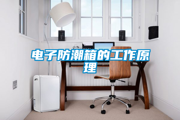 国产精品三级在线观看 电子防潮箱的工作原理