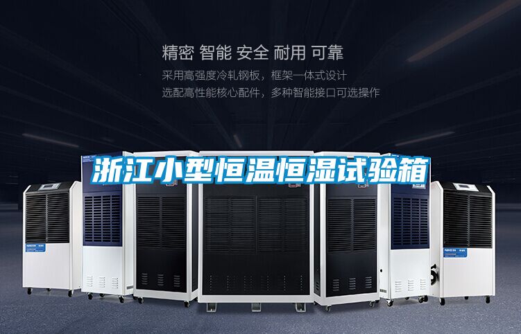 国产精品探花在线观看 浙江小型恒温恒湿试验箱