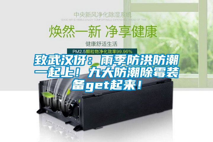 国产精品三级在线观看 致武汉伢：雨季防洪防潮一起上！九大防潮除霉装备get起来！