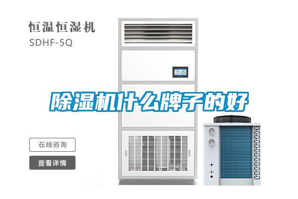 国产精品欧美激情视频 除湿机什么牌子的好