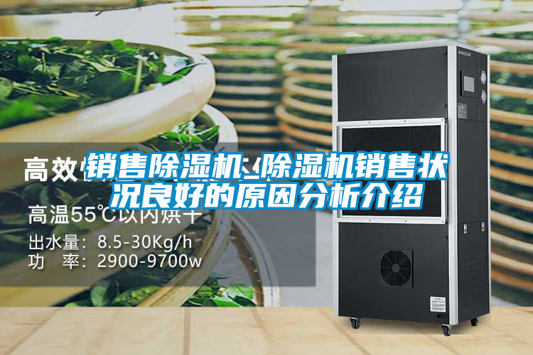 国产精品探花在线观看 销售除湿机_除湿机销售状况良好的原因分析介绍