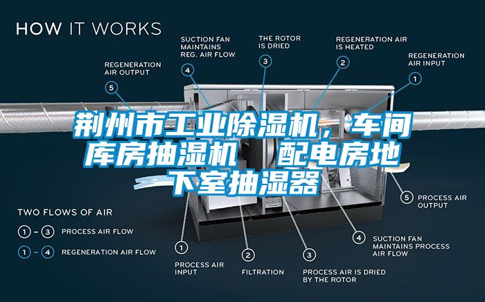 国产精品欧美激情视频 荆州市工业除湿机，车间库房抽湿机  配电房地下室抽湿器
