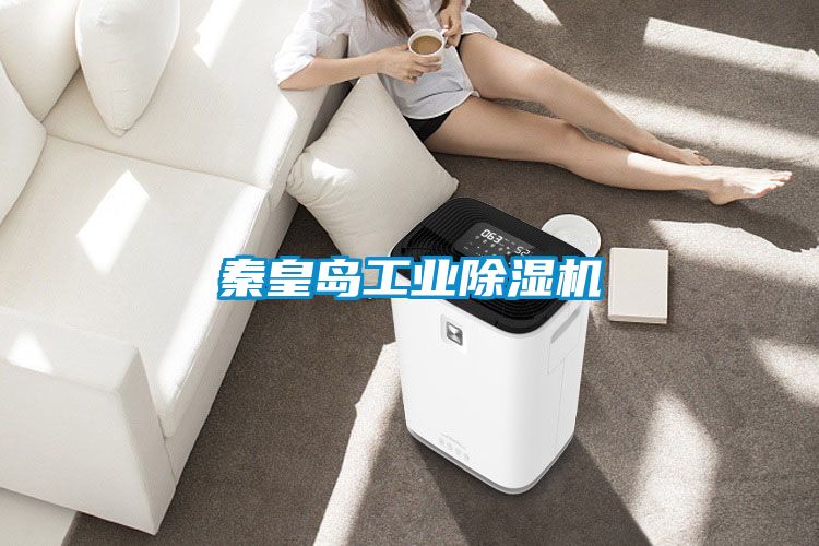 国产精品探花在线观看 秦皇岛工业除湿机