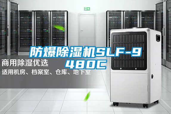 国产精品探花在线观看 防爆除湿机SLF-9480C