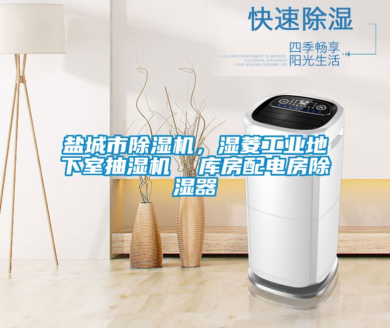 国产精品探花在线观看 盐城市除湿机，湿菱工业地下室抽湿机  库房配电房除湿器