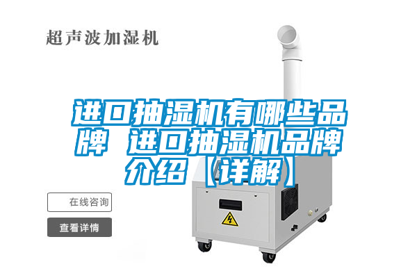 国产精品欧美激情视频 进口抽湿机有哪些品牌 进口抽湿机品牌介绍【详解】