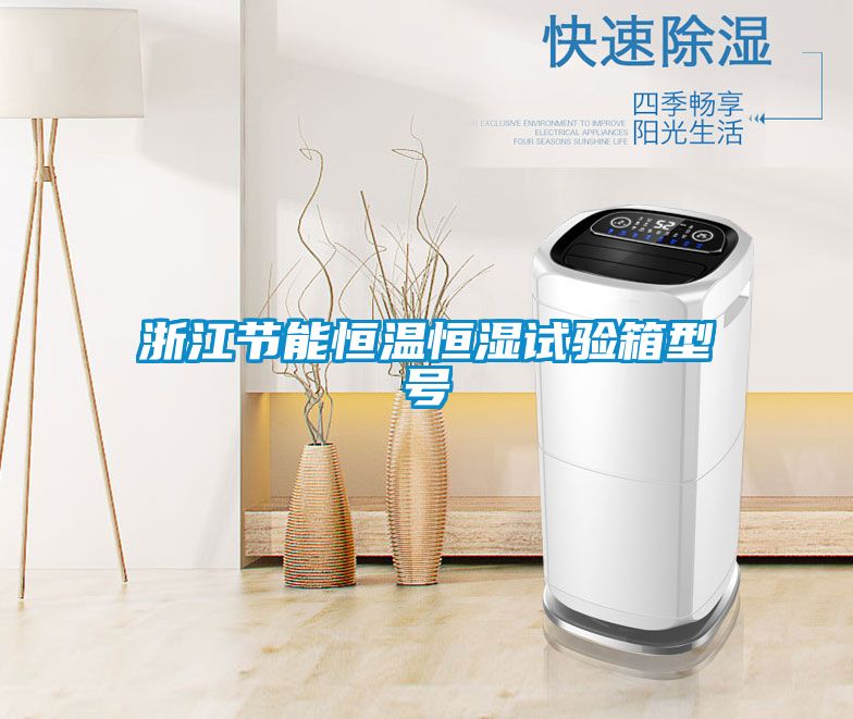 国产精品三级在线观看 浙江节能恒温恒湿试验箱型号
