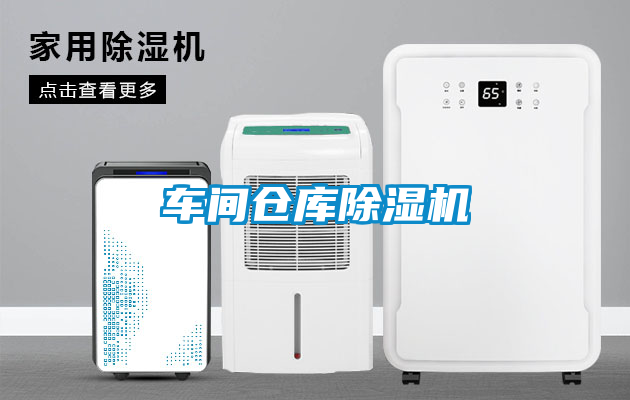 国产精品欧美激情视频 车间仓库除湿机