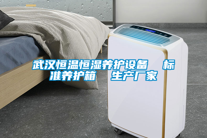 国产精品三级在线观看 武汉恒温恒湿养护设备  标准养护箱  生产厂家