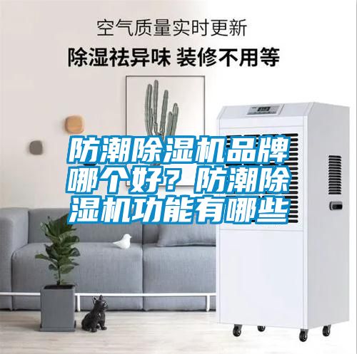 国产精品三级在线观看 防潮除湿机品牌哪个好？防潮除湿机功能有哪些