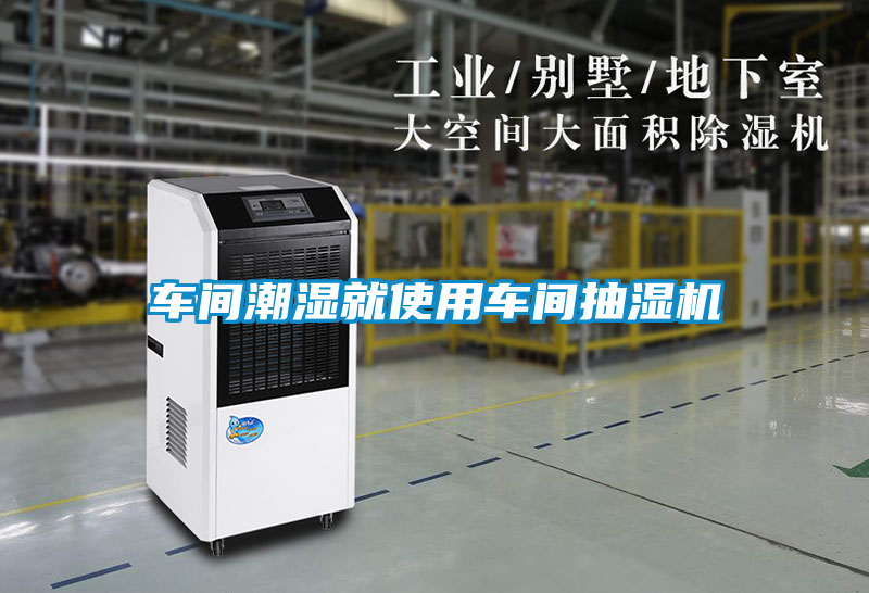 国产精品三级在线观看 车间潮湿就使用车间抽湿机