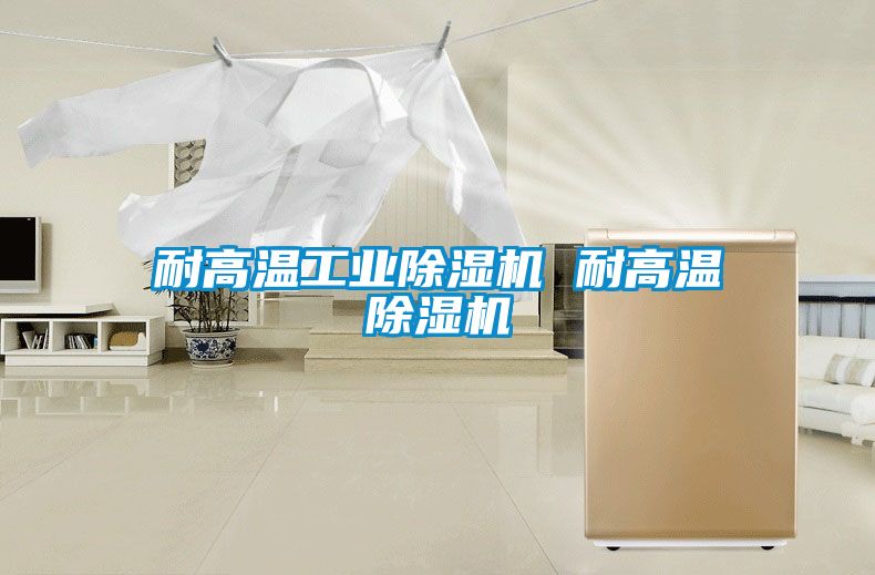 国产精品探花在线观看 耐高温工业除湿机 耐高温除湿机