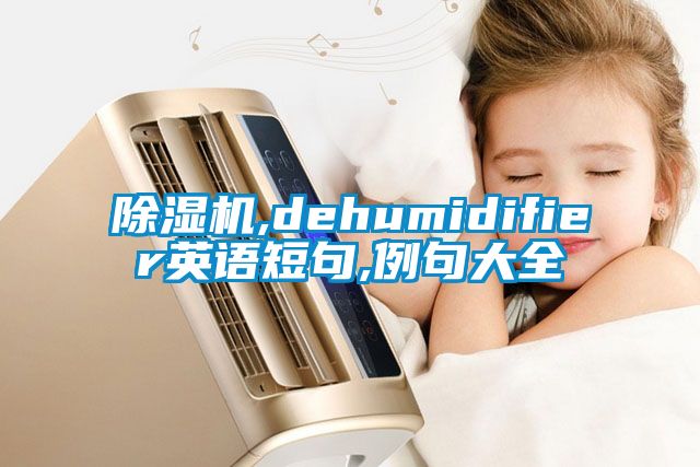 国产精品探花在线观看 除湿机,dehumidifier英语短句,例句大全