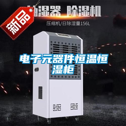 国产精品三级在线观看 电子元器件恒温恒湿柜