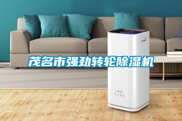 国产精品欧美激情视频 茂名市强劲转轮除湿机