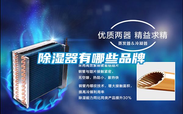 国产精品三级在线观看 除湿器有哪些品牌