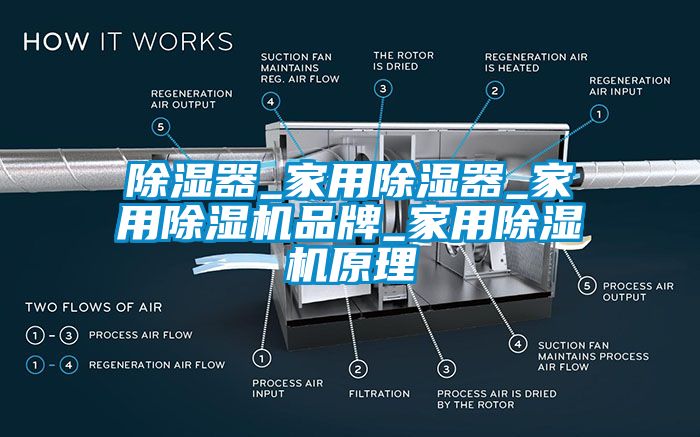 国产精品探花在线观看 除湿器_家用除湿器_家用除湿机品牌_家用除湿机原理
