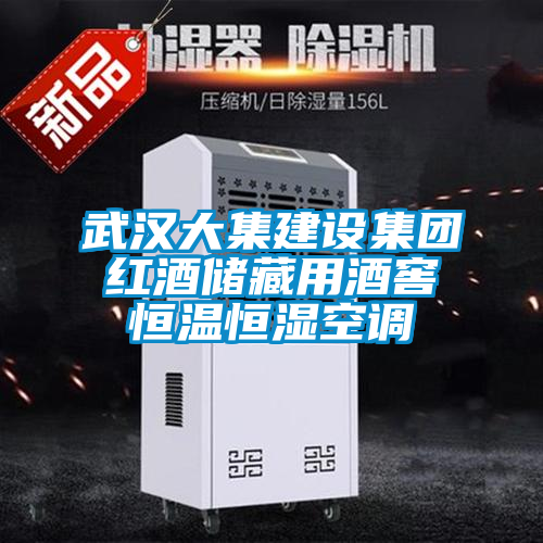 国产精品探花在线观看 武汉大集建设集团红酒储藏用酒窖恒温恒湿空调