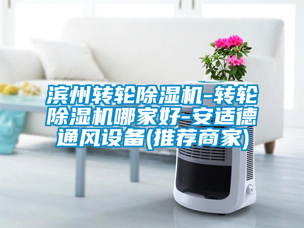 国产精品三级在线观看 滨州转轮除湿机-转轮除湿机哪家好-安适德通风设备(推荐商家)